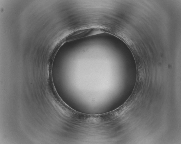 X0000088580350200706081128