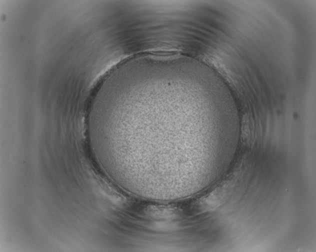 X0000088580351200706081128