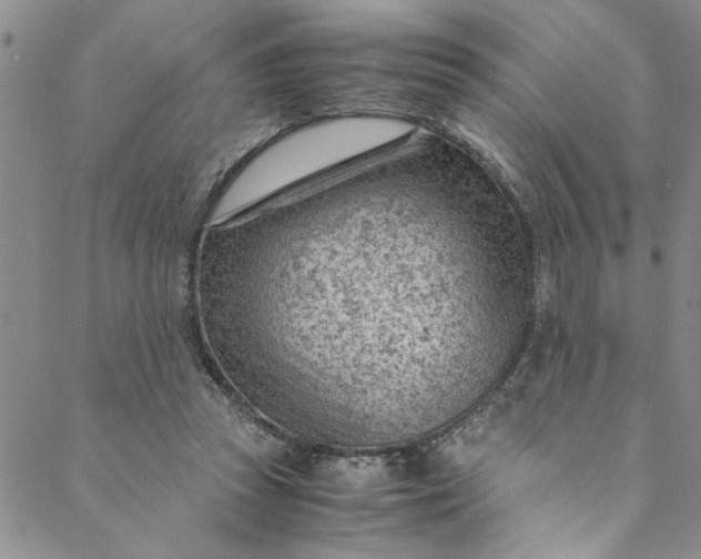 X0000088580353200706081128