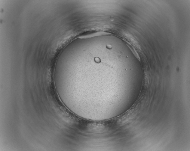 X0000088580354200706081128