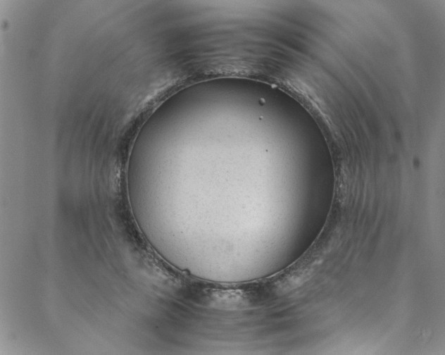 X0000088580355200706081128