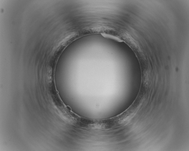 X0000088580356200706081129