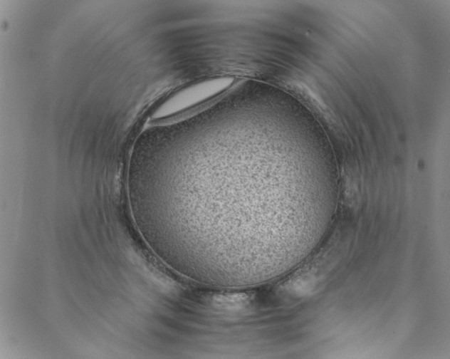 X0000088580357200706081129