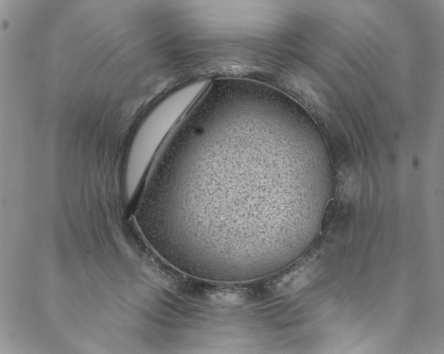 X0000088580358200706081129