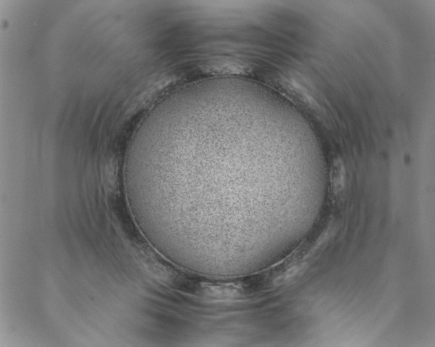 X0000088580359200706081129