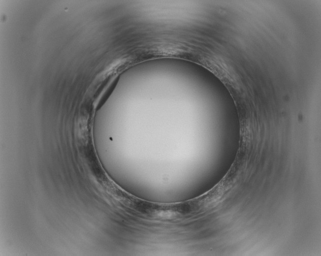 X0000088580360200706081129