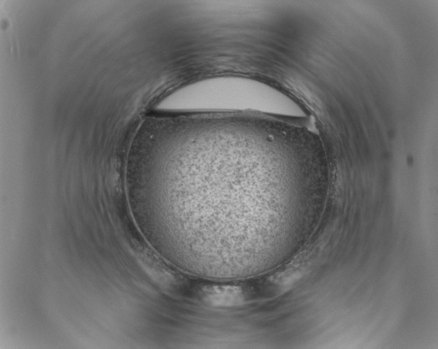 X0000088580361200706081129