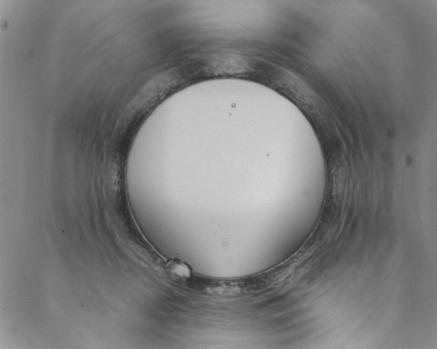 X0000088580362200706081129