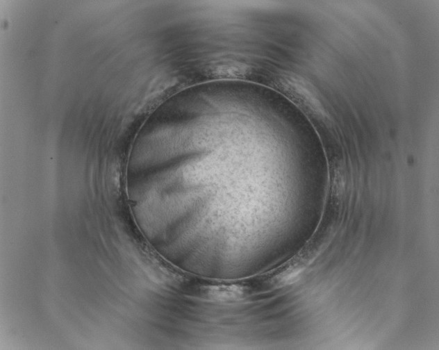 X0000088580363200706081129