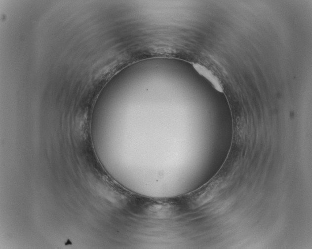 X0000088580364200706081129