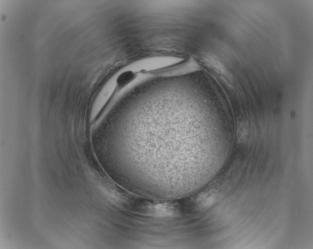 X0000088580365200706081129