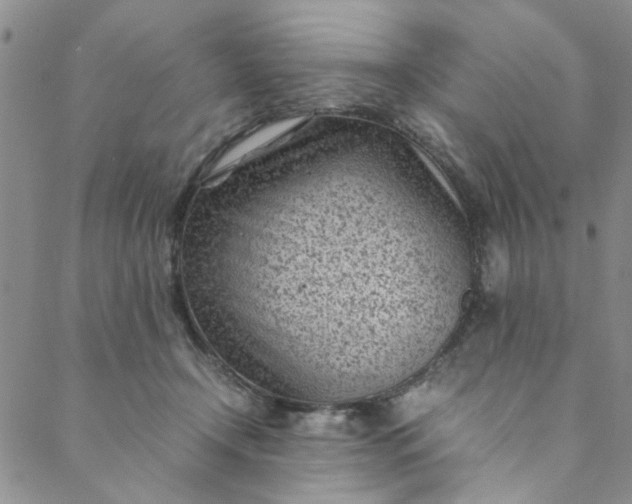 X0000088580366200706081129