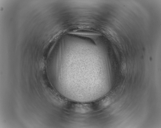 X0000088580367200706081129