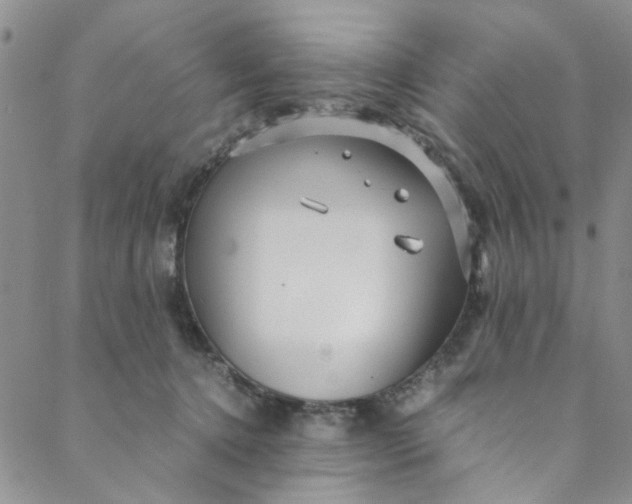 X0000088580368200706081129