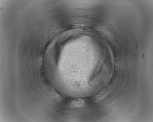 X0000088580369200706081129