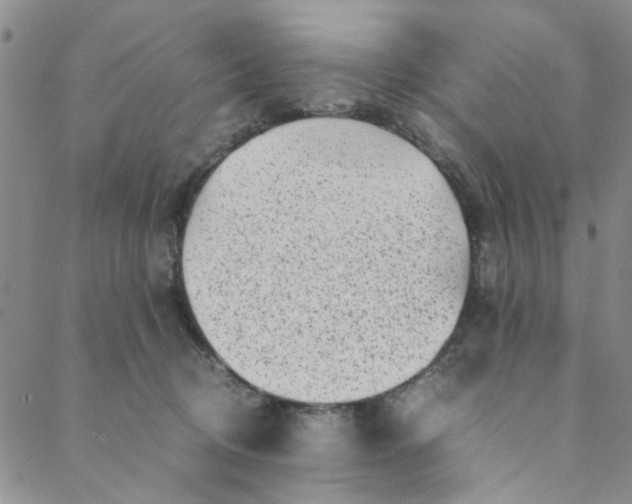 X0000088580370200706081129