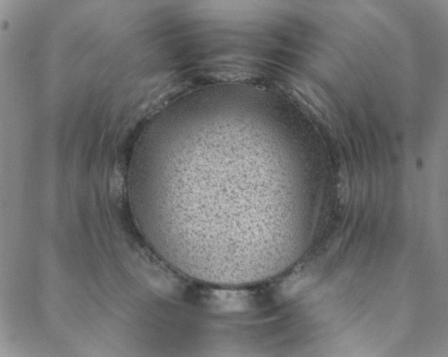 X0000088580371200706081129