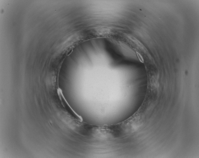 X0000088580372200706081129