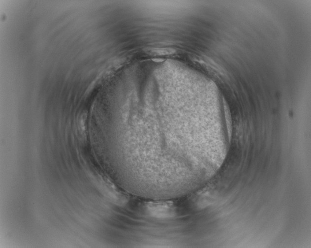 X0000088580373200706081129