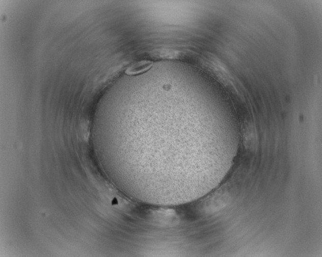 X0000088580374200706081129