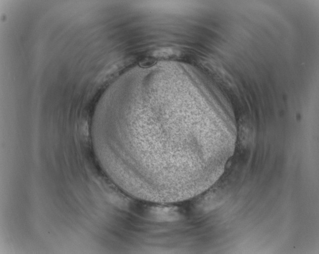 X0000088580375200706081129