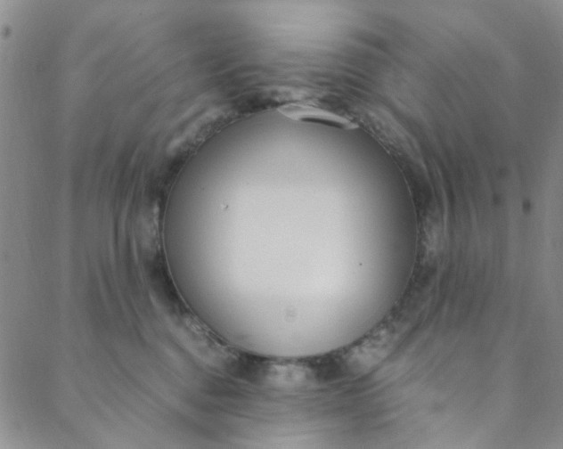 X0000088580376200706081129