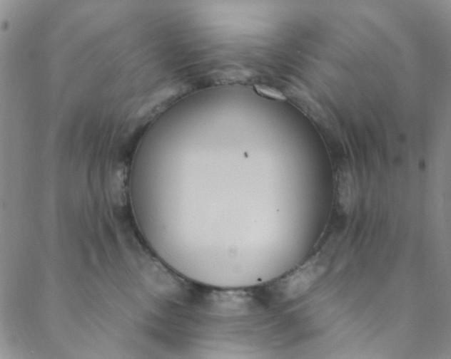 X0000088580378200706081129