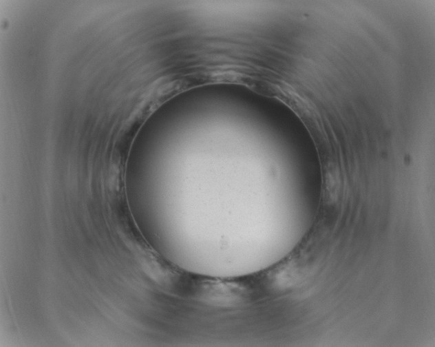 X0000088580379200706081129