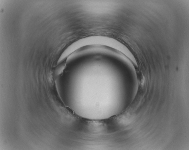 X0000088580380200706081129