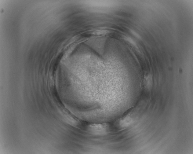 X0000088580381200706081129