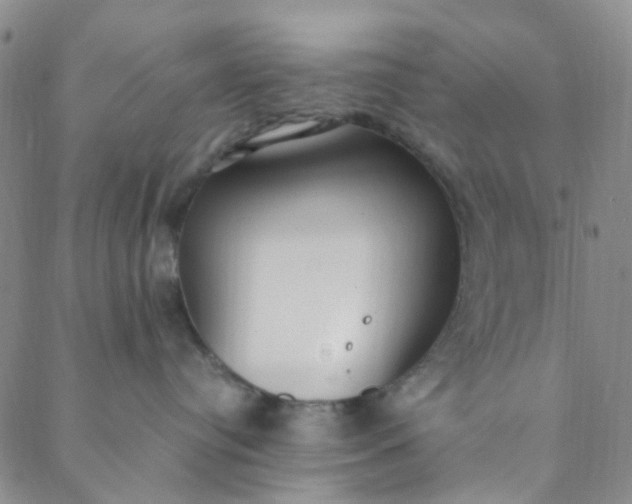 X0000088580384200706081129