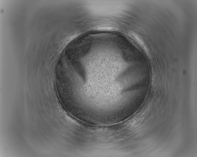 X0000088580385200706081128