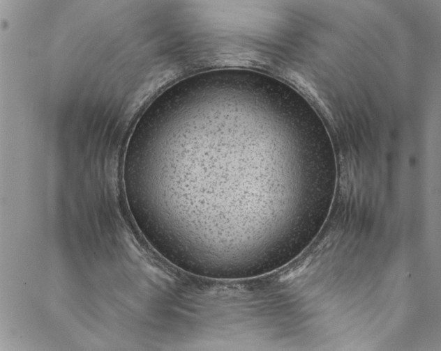 X0000088580386200706081128