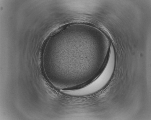 X0000088580387200706081128