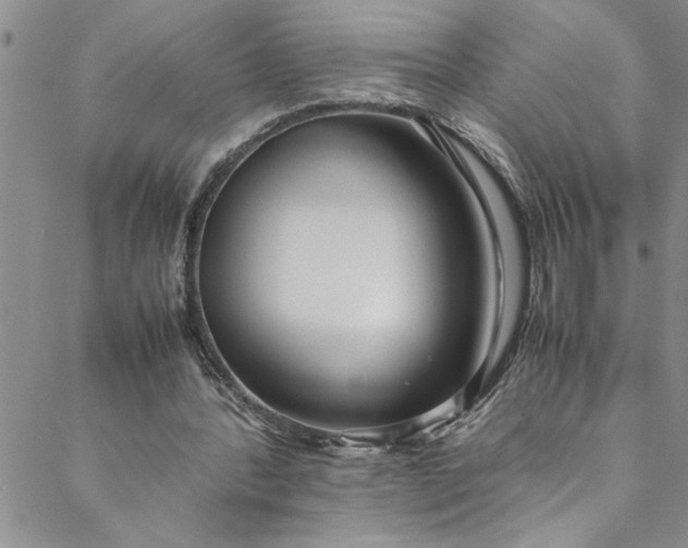 X0000088580388200706081128