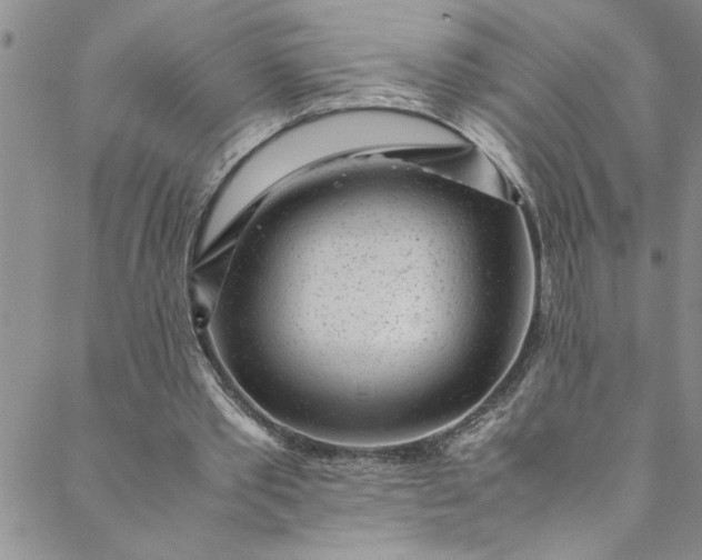 X0000088580389200706081128