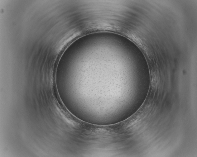 X0000088580390200706081128