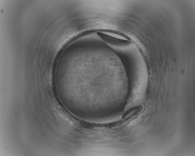 X0000088580391200706081128