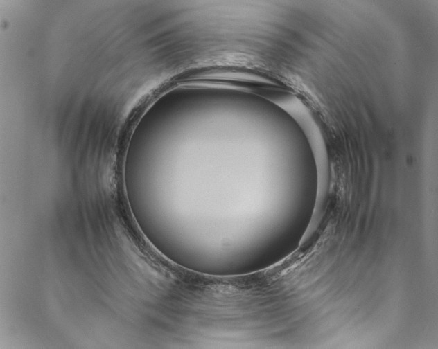 X0000088580392200706081128