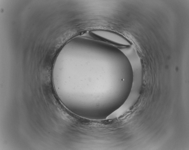 X0000088580393200706081128