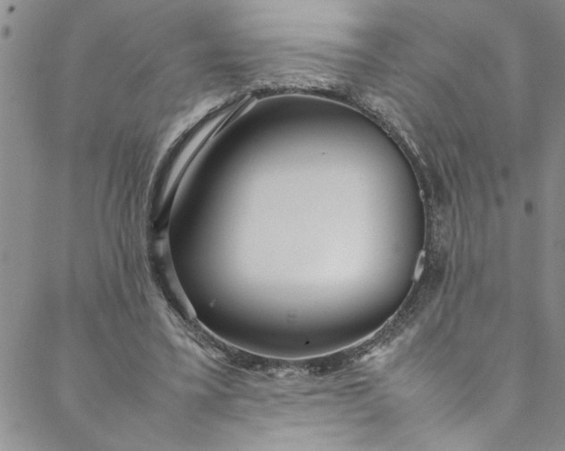 X0000088580395200706081128