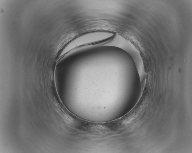 X0000088580397200706081128