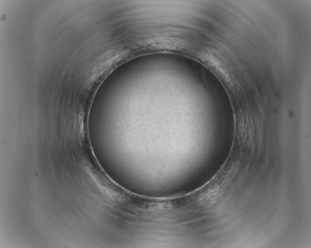 X0000088580398200706081128