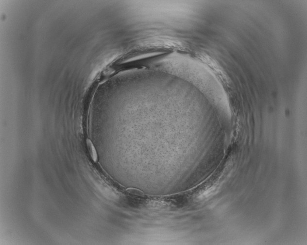 X0000088580399200706081128