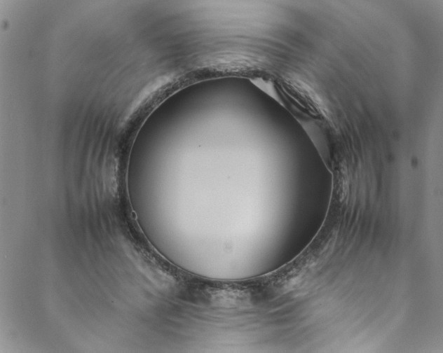 X0000088580400200706081128