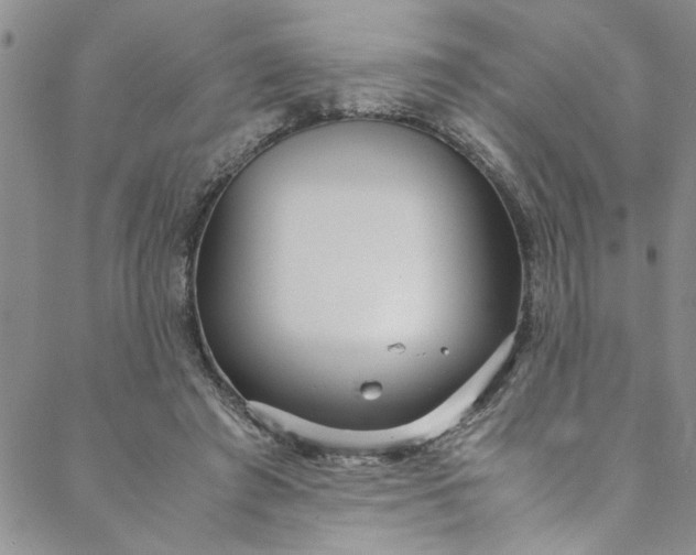 X0000088580401200706081128