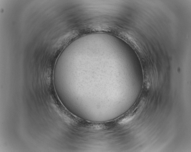 X0000088580402200706081128