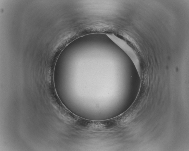 X0000088580403200706081128