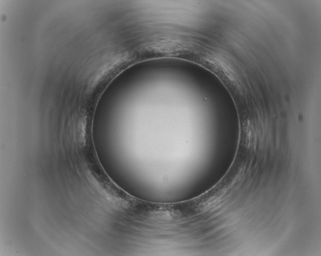 X0000088580404200706081128