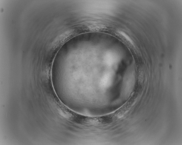 X0000088580405200706081128